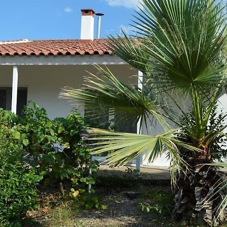 Litochoro Apartment In Estate A1 المظهر الخارجي الصورة