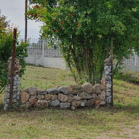 Litochoro Apartment In Estate A1 المظهر الخارجي الصورة