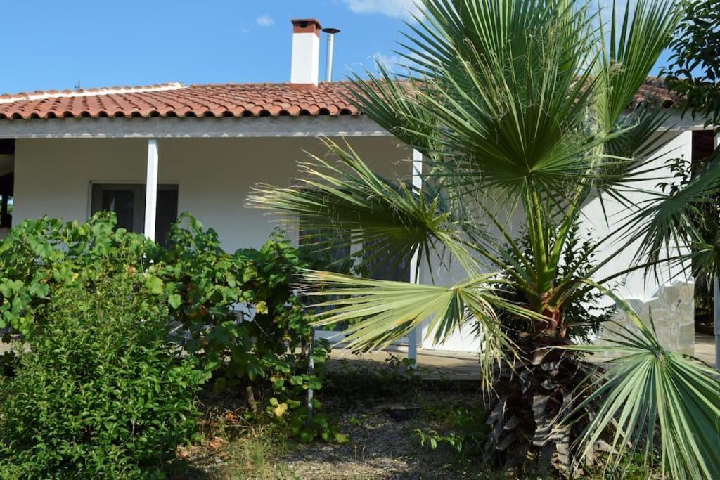 Litochoro Apartment In Estate A1 المظهر الخارجي الصورة